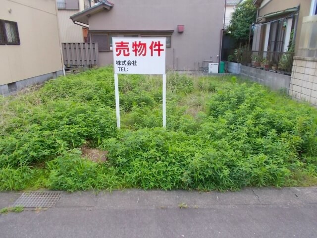 蕨