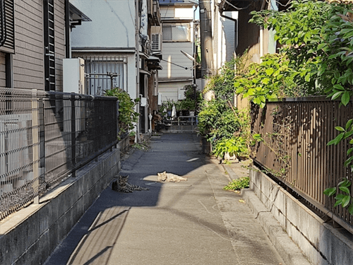 再建築不可物件